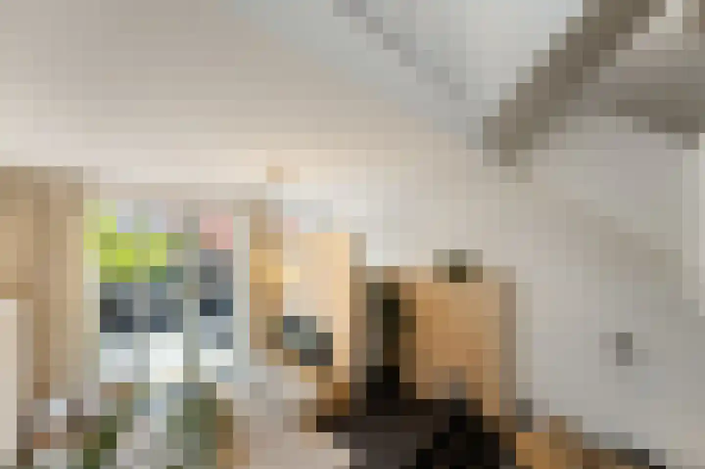 Waker 5 Kampen thumbnail 39