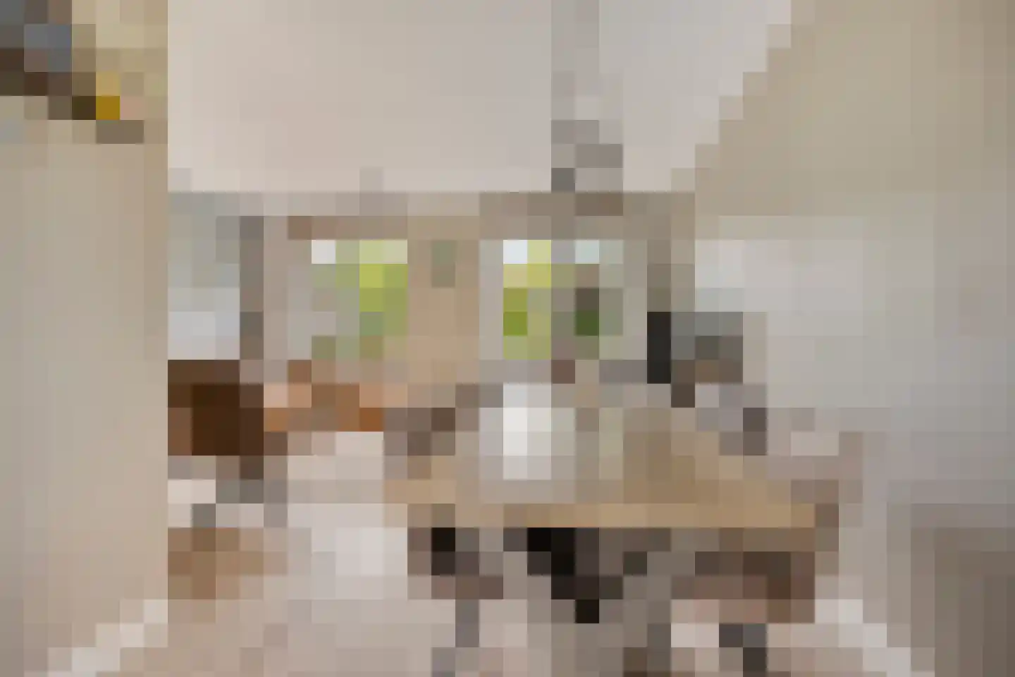 Waker 7 Kampen thumbnail 11