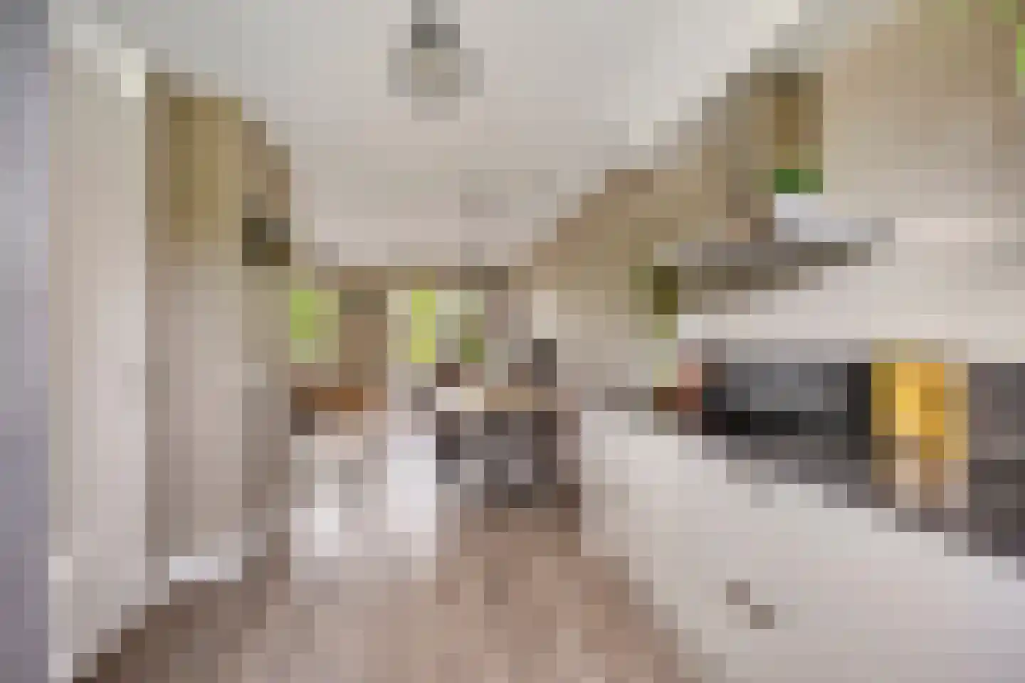Waker 7 Kampen thumbnail 19