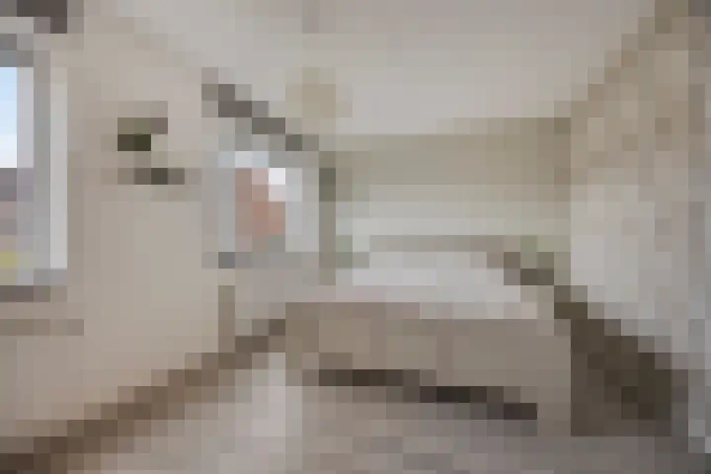 Waker 7 Kampen thumbnail 23