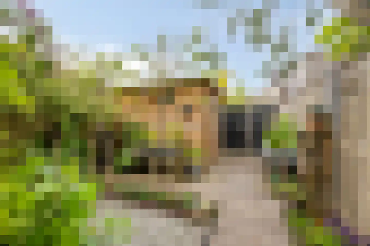 Waker 7 Kampen thumbnail 37