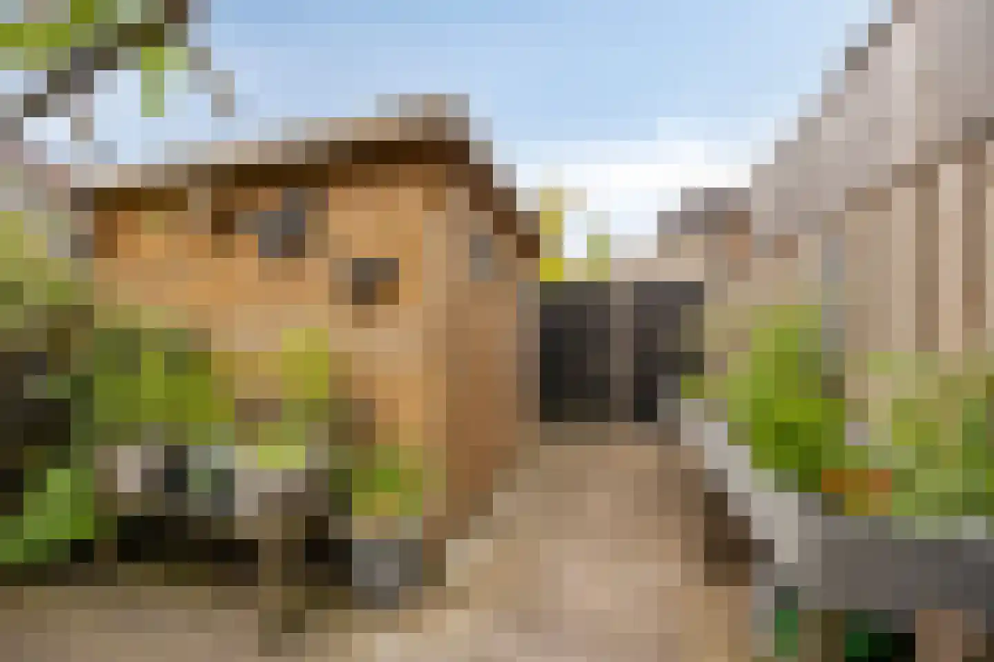Waker 7 Kampen thumbnail 38