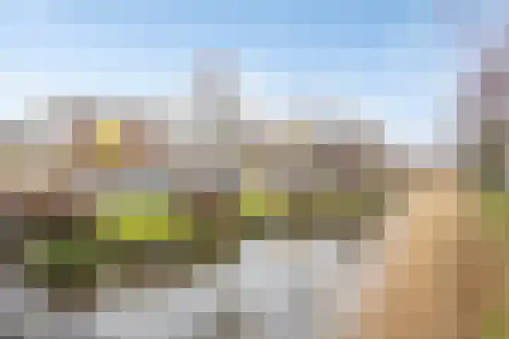 Wakerdijk 104 Purmerend thumbnail 31