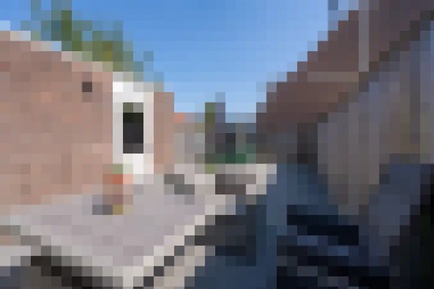 Wakerdijk 17 Purmerend thumbnail 27