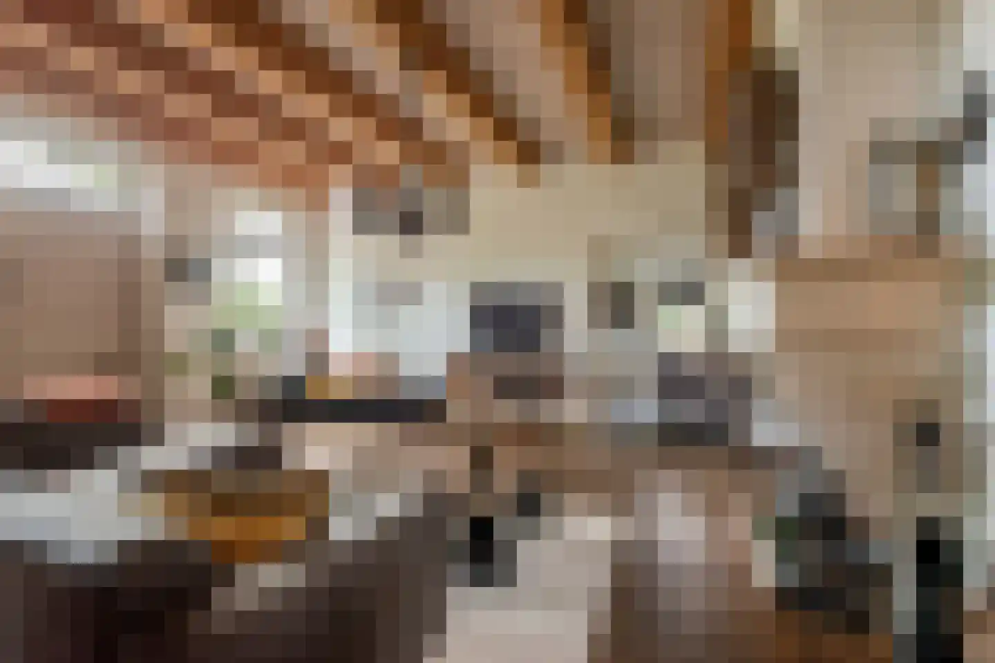 Wakkerendijk 102 Eemnes thumbnail 15