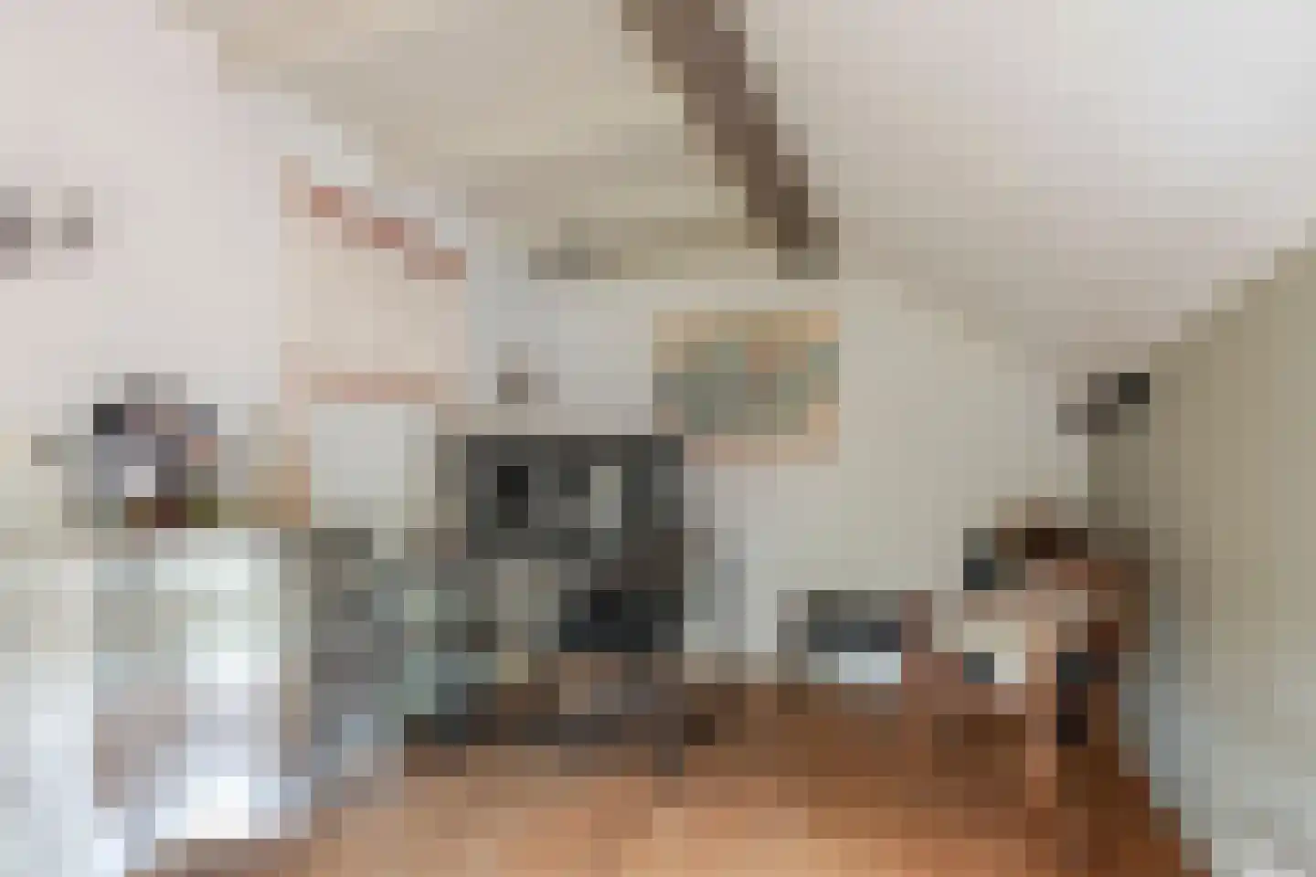 Wakkerendijk 102 Eemnes thumbnail 21