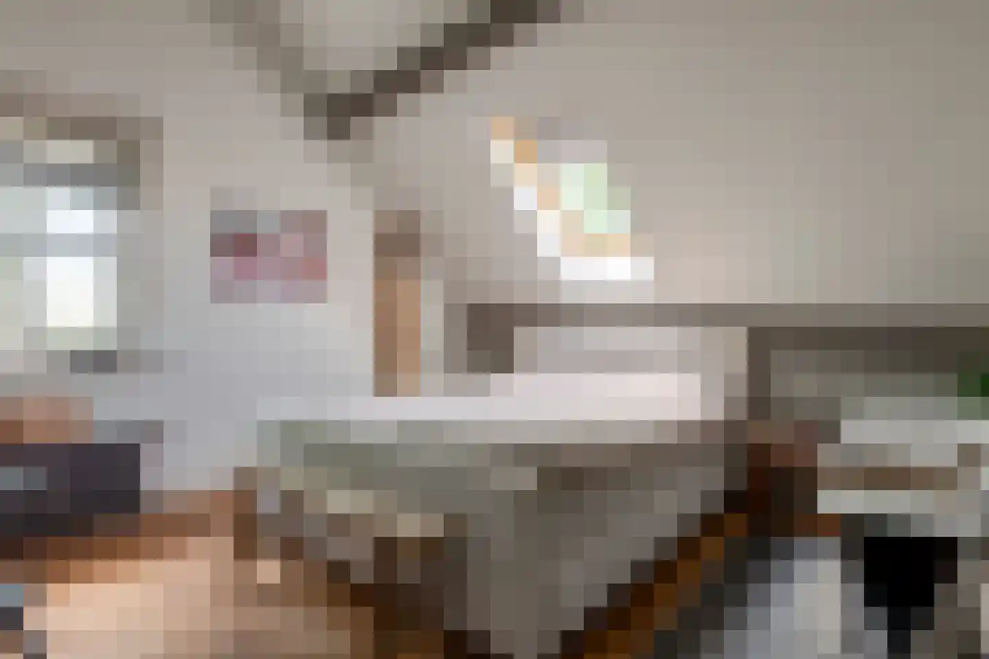Wakkerendijk 102 Eemnes thumbnail 34