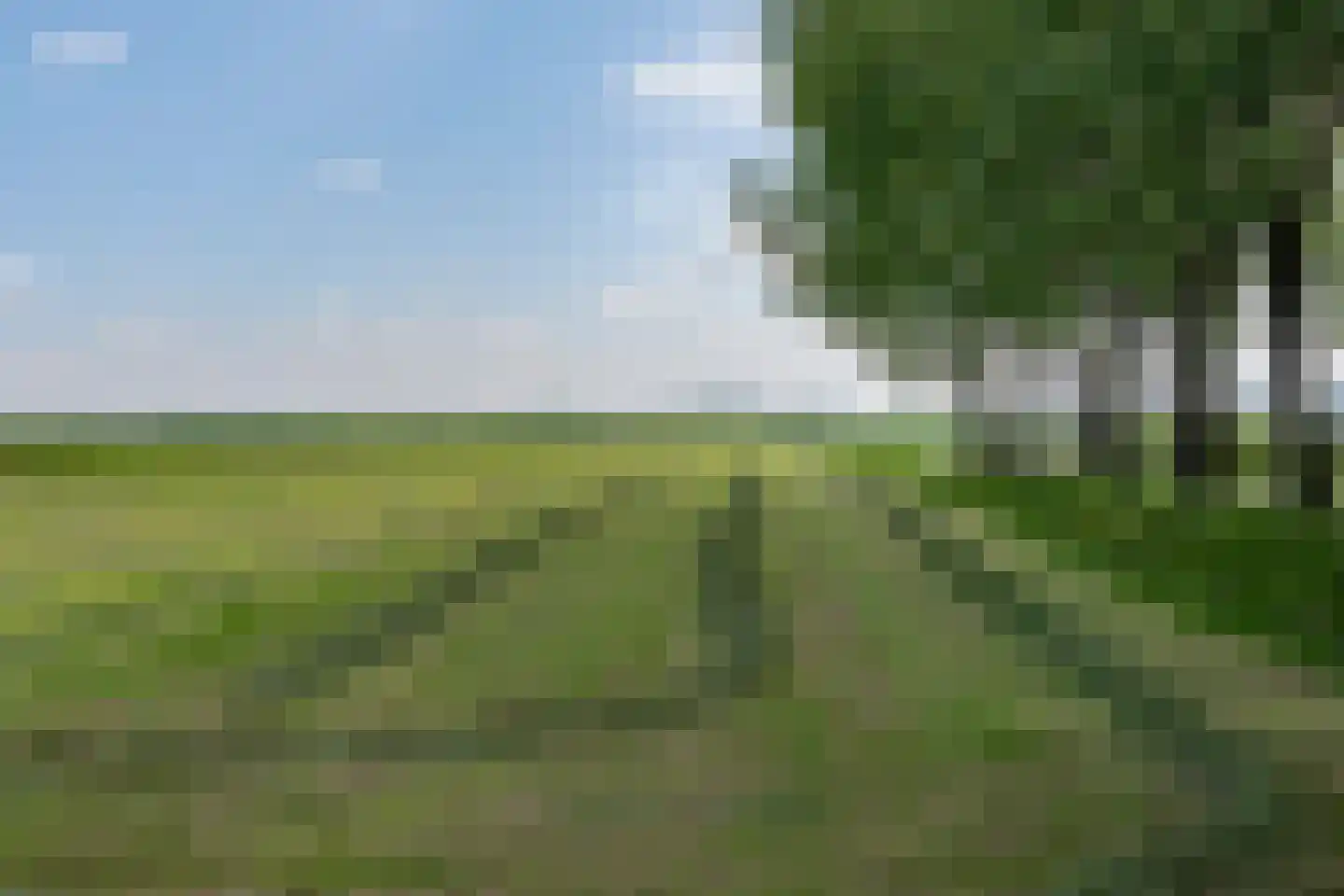 Wakkerendijk 102 Eemnes thumbnail 61