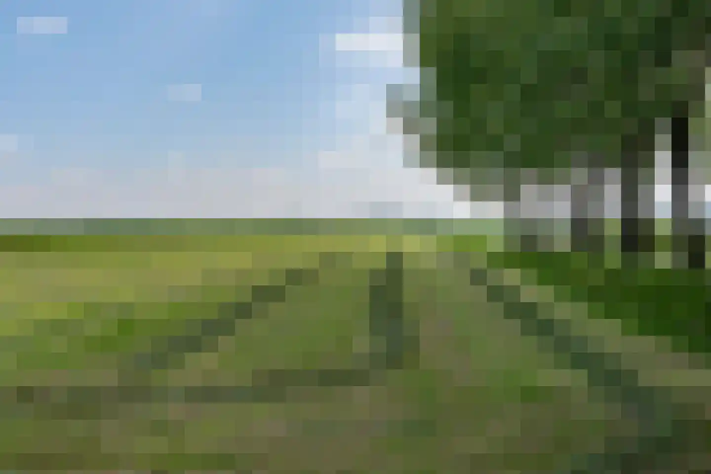 Wakkerendijk 102 Eemnes thumbnail 61