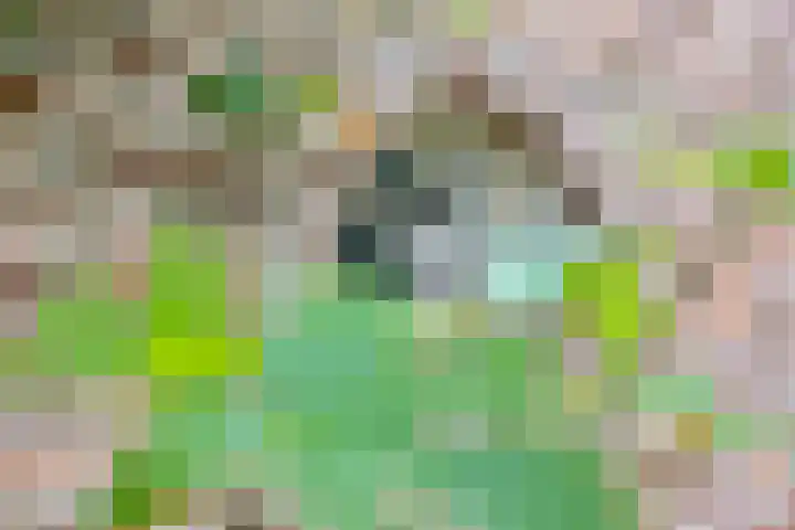 Wakkerendijk 190 Eemnes thumbnail 30