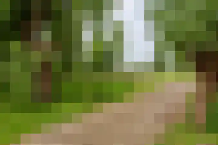 Wakkerendijk 190 Eemnes thumbnail 31