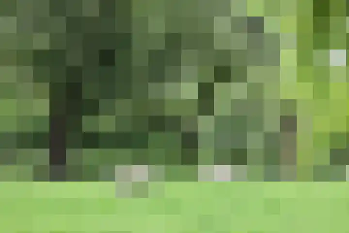 Wakkerendijk 190 Eemnes thumbnail 32