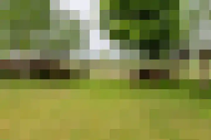 Wakkerendijk 190 Eemnes thumbnail 33