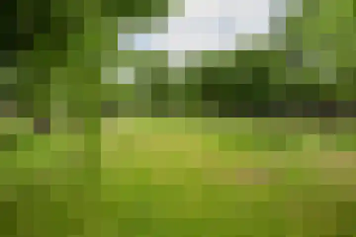 Wakkerendijk 190 Eemnes thumbnail 34