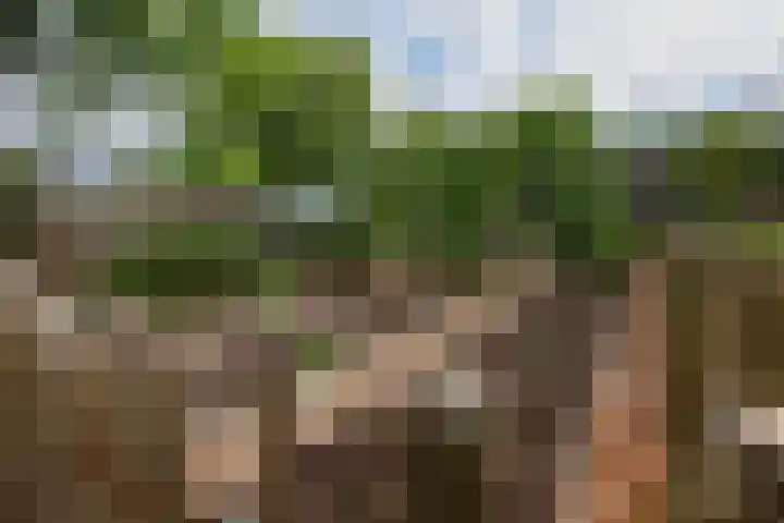 Wakkerendijk 190 Eemnes thumbnail 35