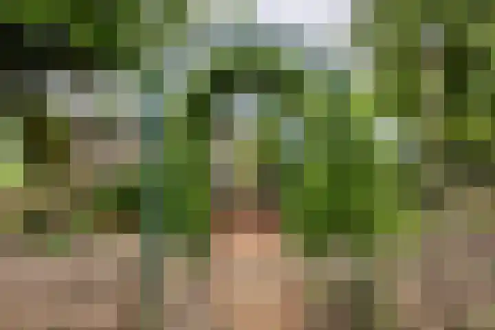 Wakkerendijk 190 Eemnes thumbnail 36
