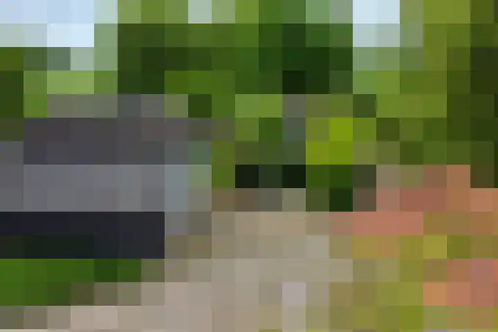 Wakkerendijk 190 Eemnes thumbnail 39