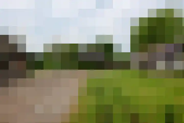 Wakkerendijk 190 Eemnes thumbnail 40