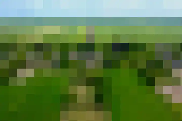 Wakkerendijk 190 Eemnes thumbnail 42