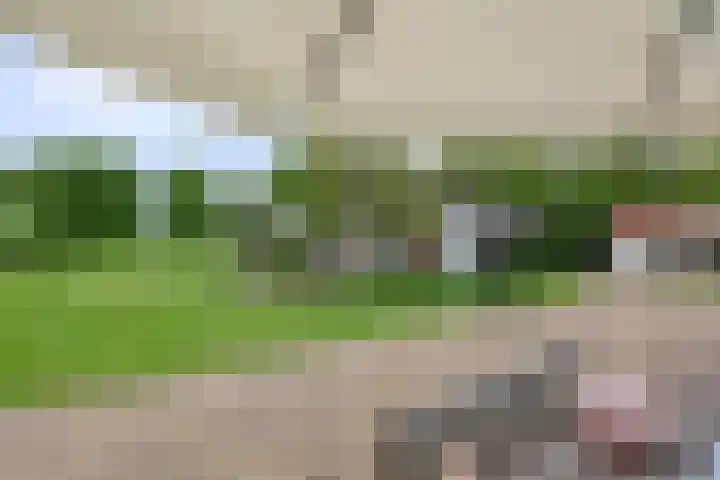 Wakkerendijk 190 Eemnes thumbnail 43