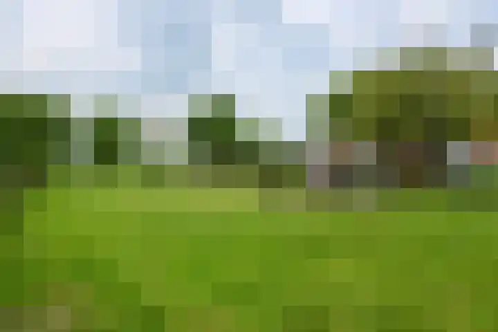 Wakkerendijk 190 Eemnes thumbnail 44
