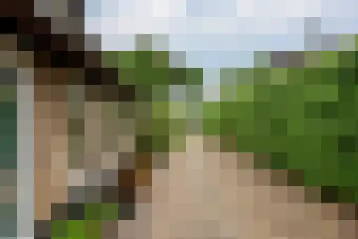 Wakkerendijk 190 Eemnes thumbnail 5