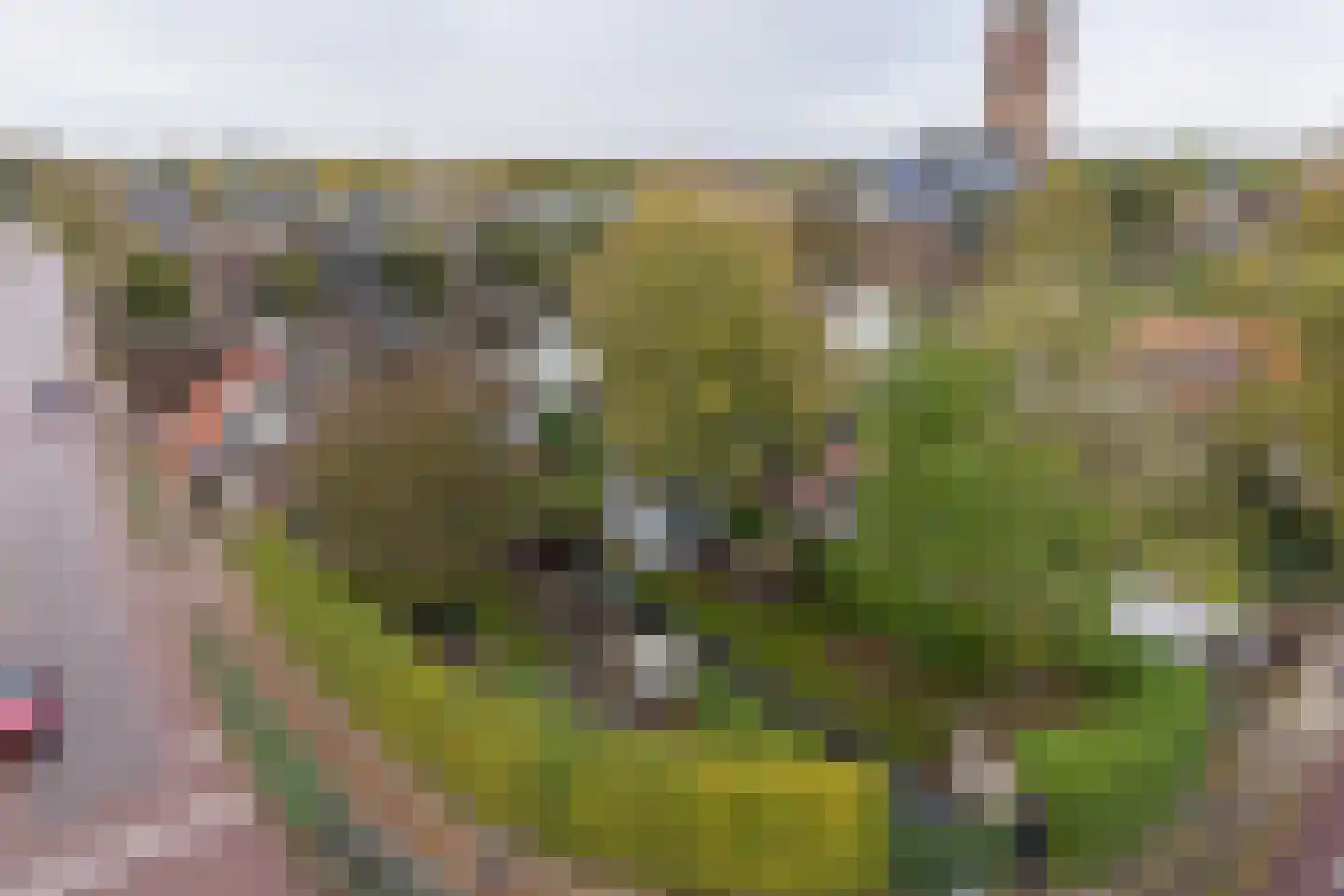 Wakkerendijk 2 Eemnes