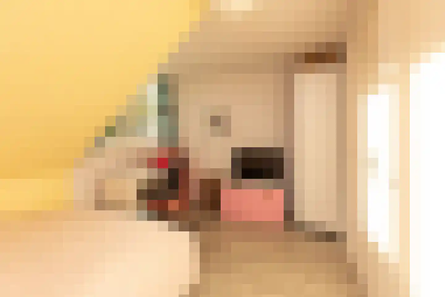 Wakkerendijk 2 Eemnes thumbnail 18
