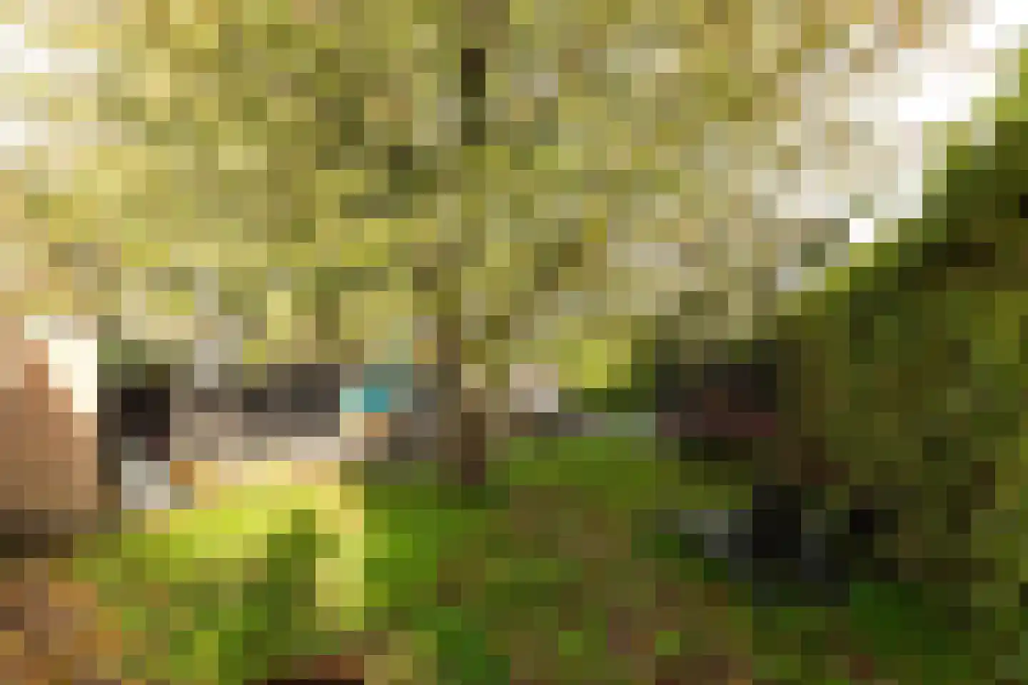Wakkerendijk 2 Eemnes thumbnail 23