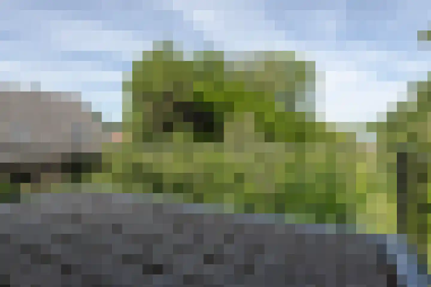 Wakkerendijk 226 A Eemnes thumbnail 28