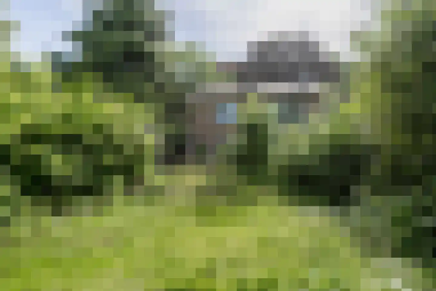 Wakkerendijk 226 A Eemnes thumbnail 47