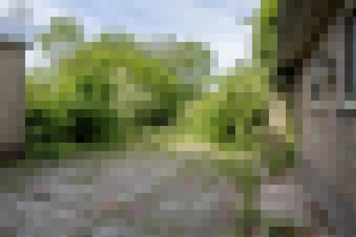 Wakkerendijk 226 A Eemnes thumbnail 47