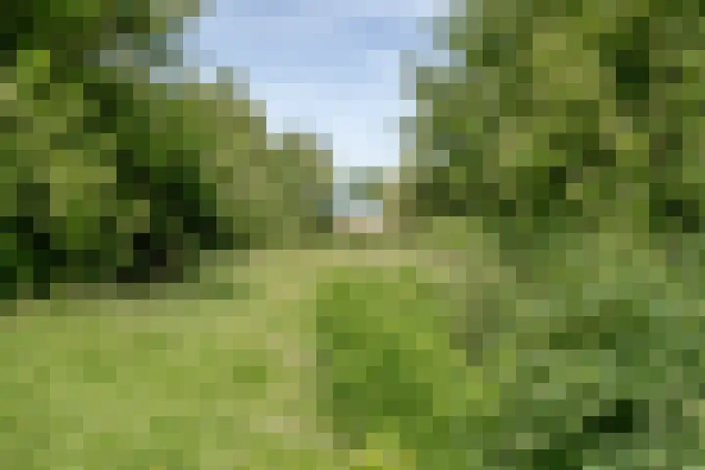 Wakkerendijk 226 A Eemnes thumbnail 50