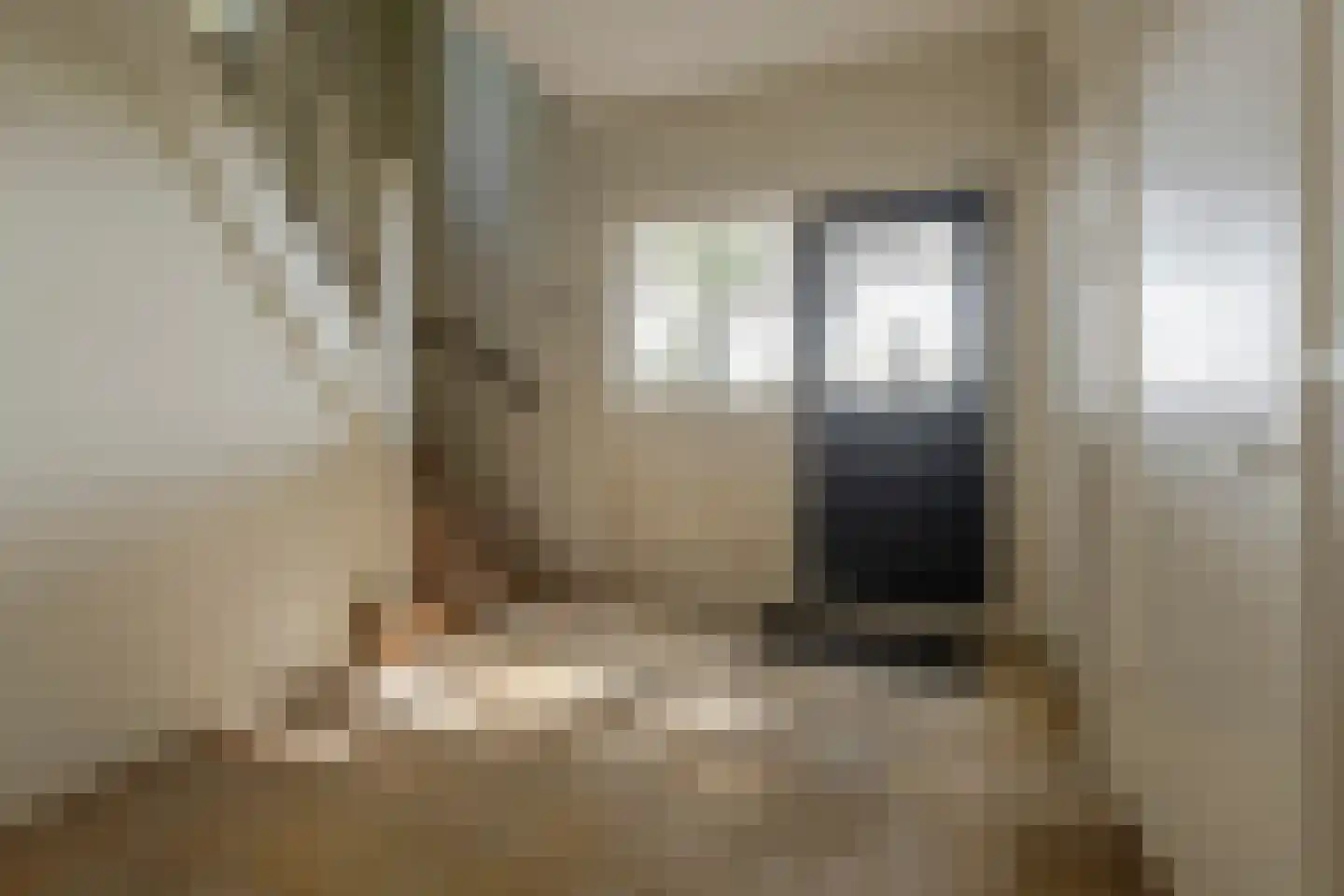 Wakkerendijk 226 A Eemnes thumbnail 6