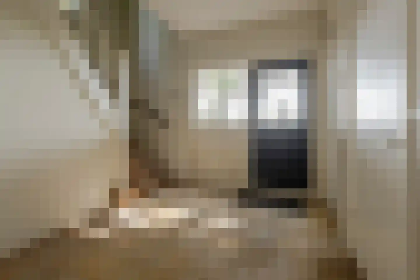 Wakkerendijk 226 A Eemnes thumbnail 7