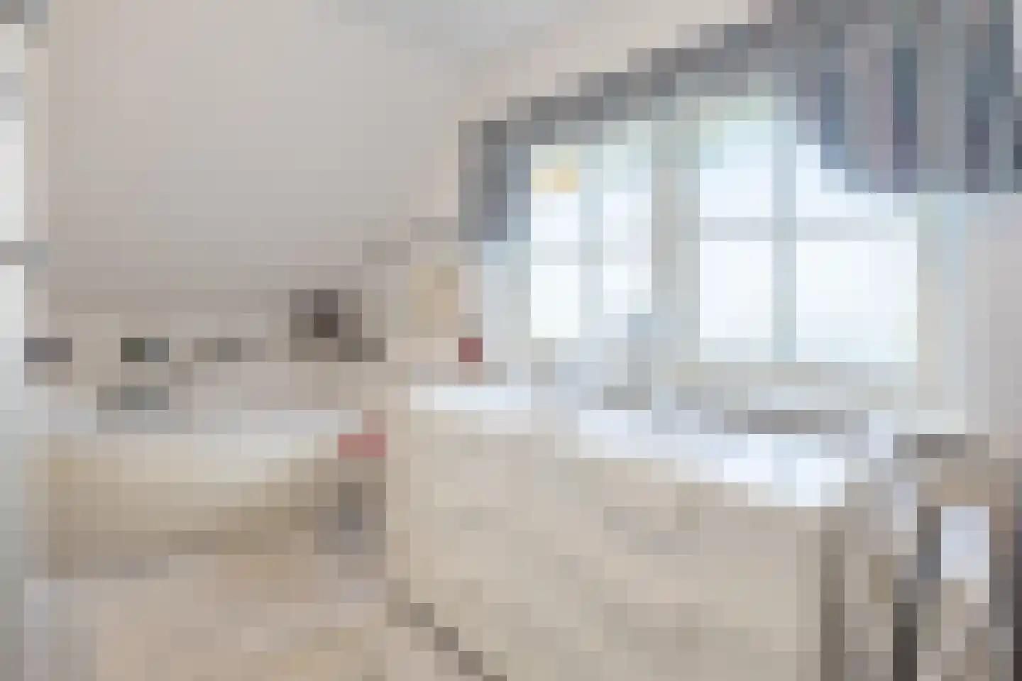 Wakkerendijk 244 Eemnes thumbnail 29
