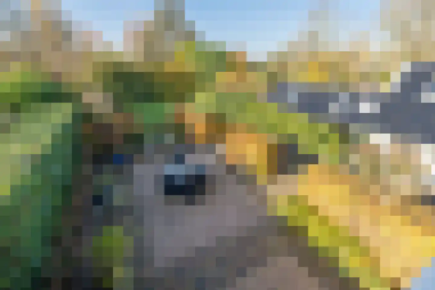 Wakkerendijk 244 Eemnes thumbnail 46