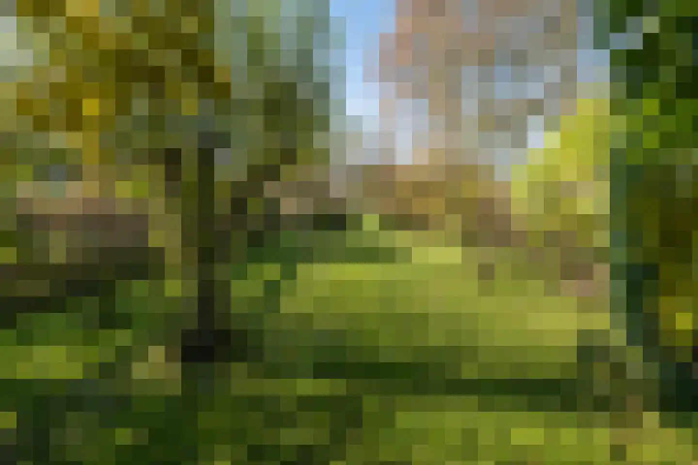 Wakkerendijk 244 Eemnes thumbnail 68
