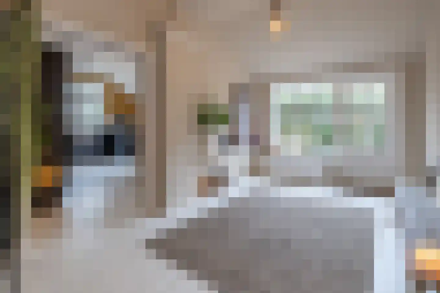 Wakkerendijk 246 Eemnes thumbnail 16