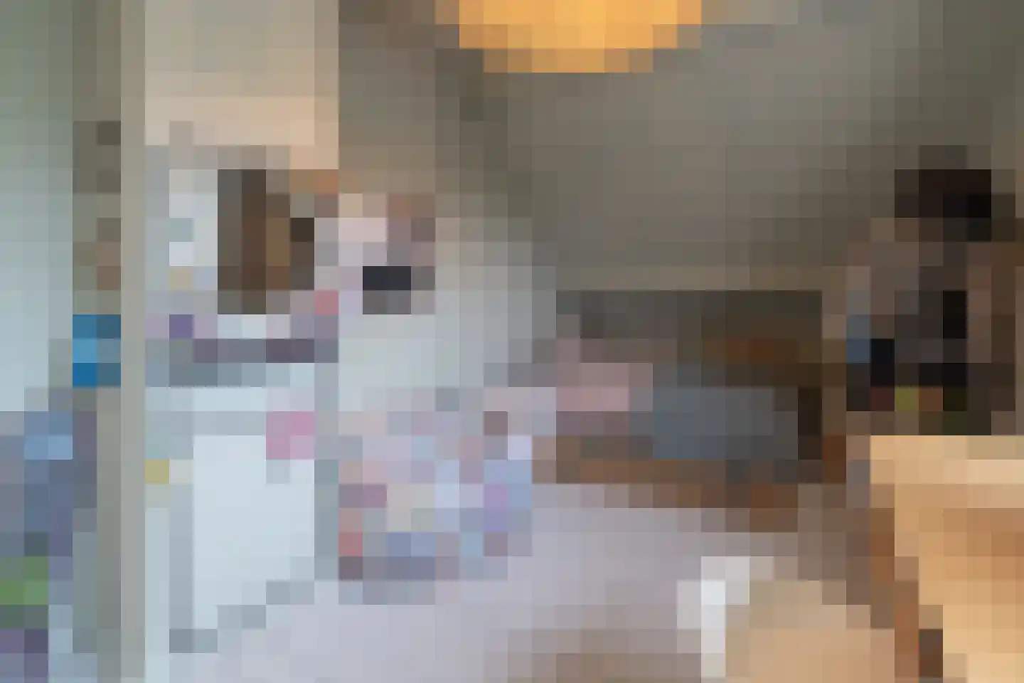 Wakkerendijk 246 Eemnes thumbnail 22