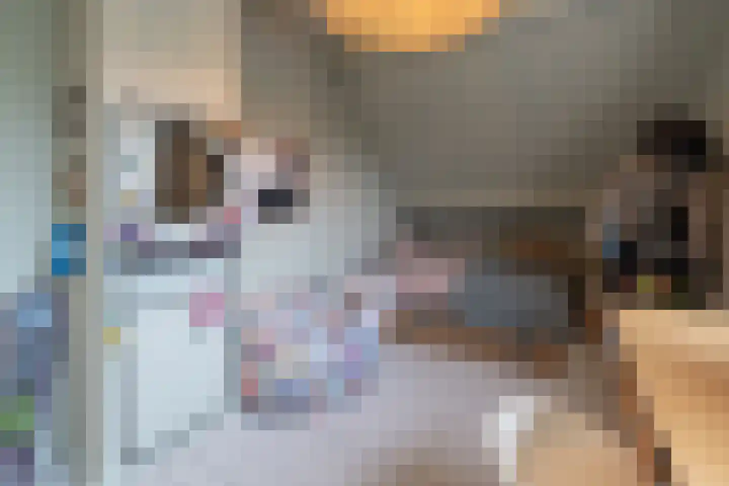 Wakkerendijk 246 Eemnes thumbnail 22