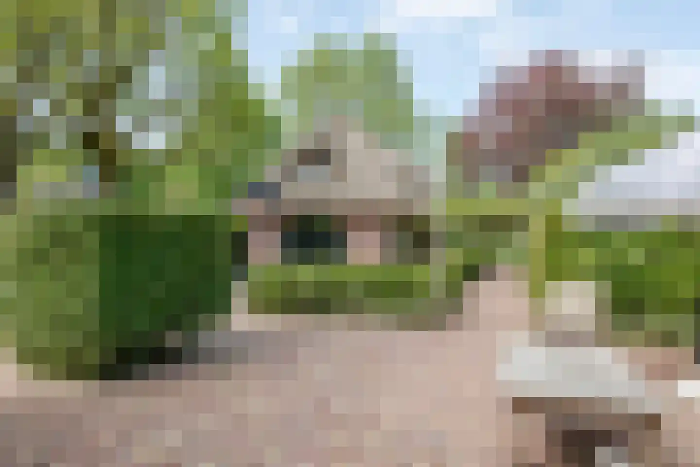 Wakkerendijk 246 Eemnes thumbnail 35