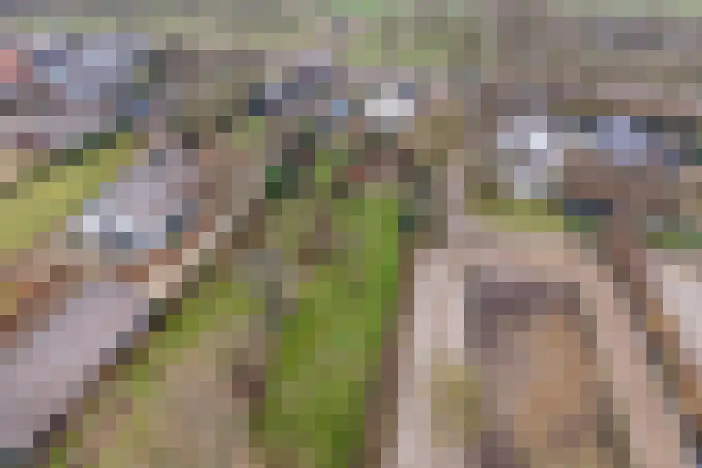 Wakkerendijk 246 Eemnes thumbnail 4