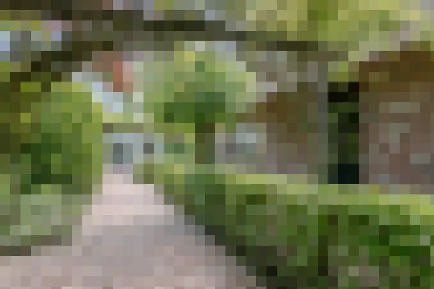Wakkerendijk 246 Eemnes thumbnail 55
