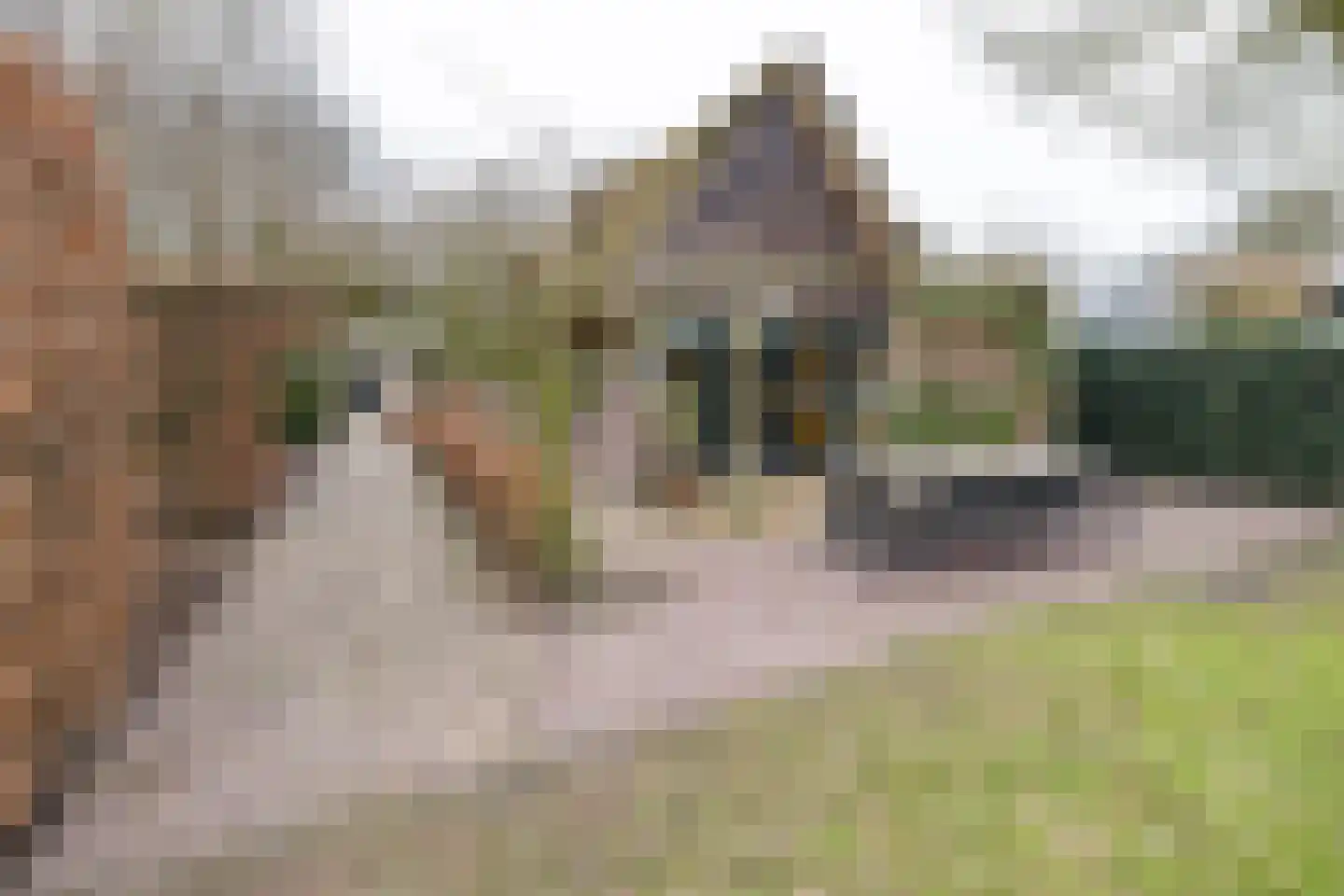 Wakkerendijk 246 Eemnes thumbnail 57