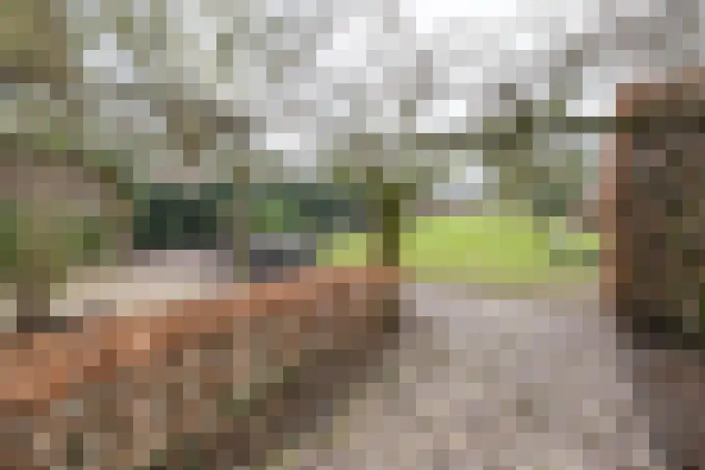 Wakkerendijk 246 Eemnes thumbnail 58