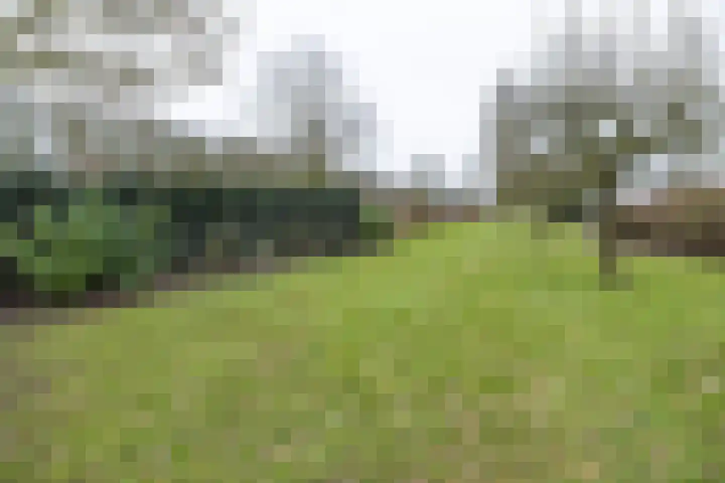 Wakkerendijk 246 Eemnes thumbnail 60