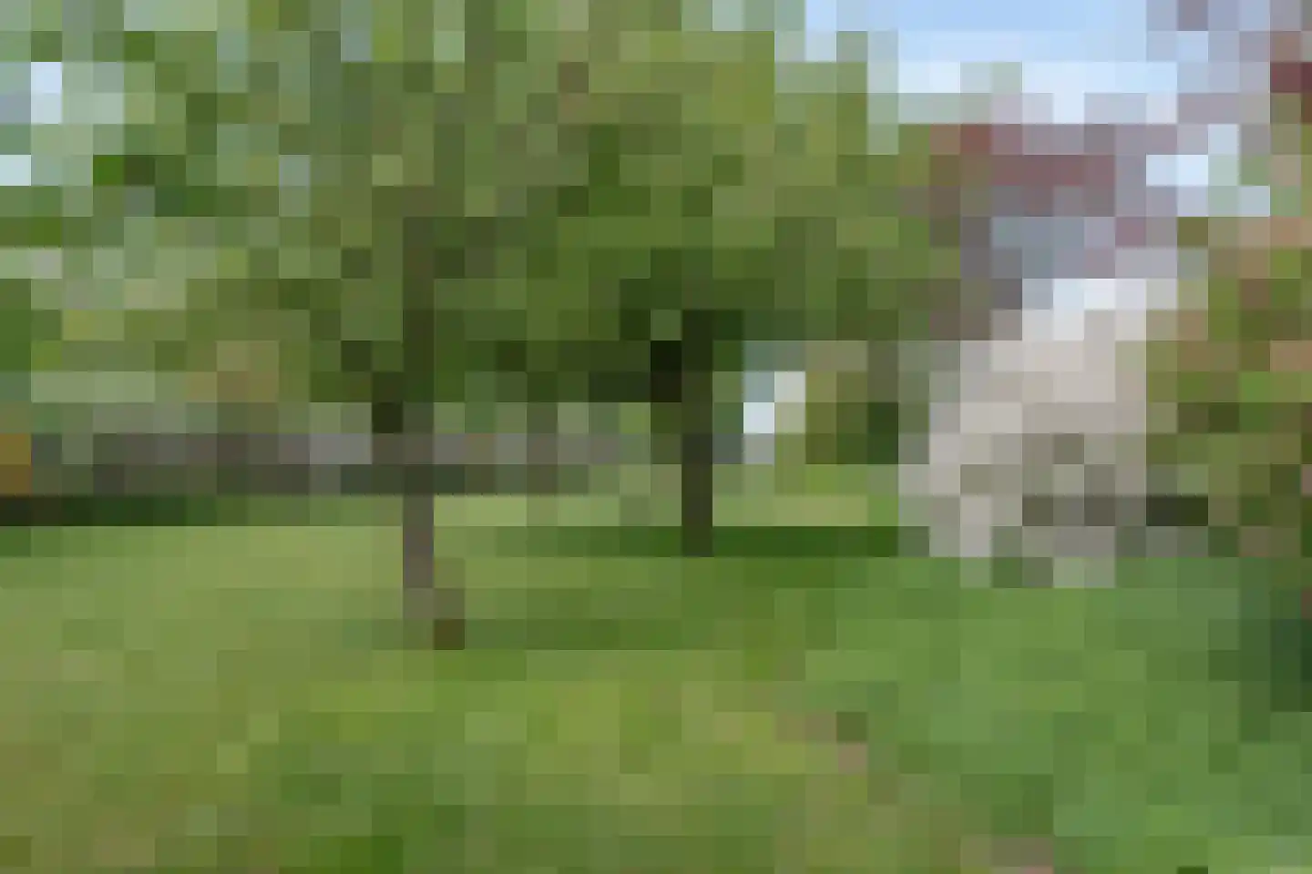 Wakkerendijk 246 Eemnes thumbnail 61