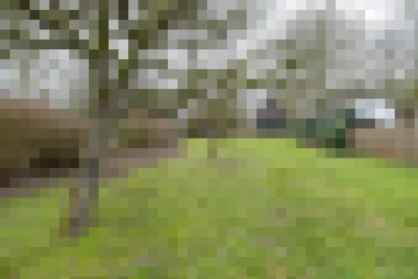 Wakkerendijk 246 Eemnes thumbnail 61