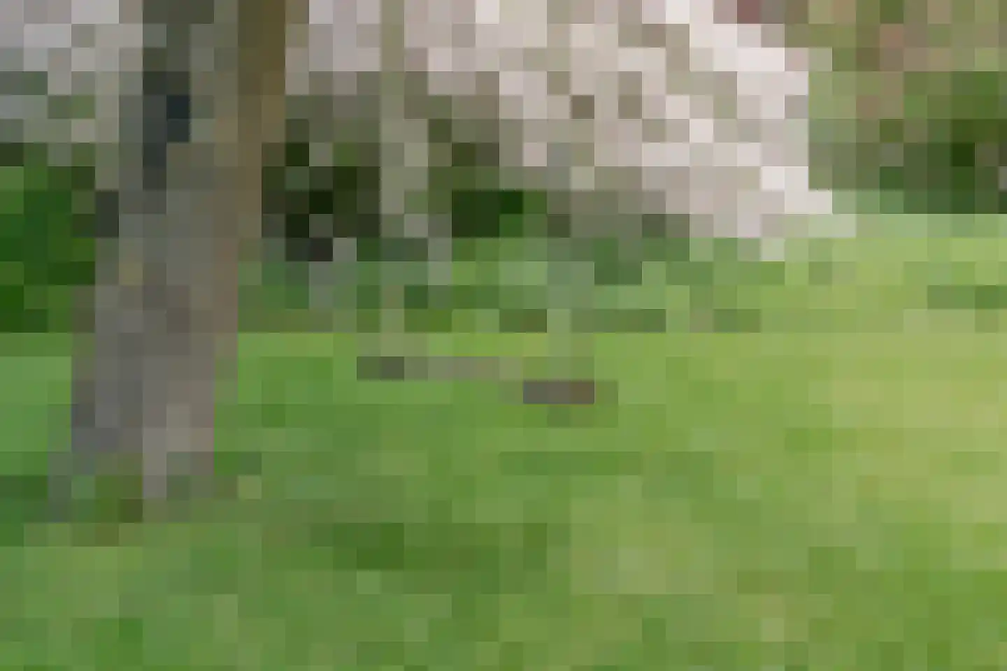 Wakkerendijk 246 Eemnes thumbnail 62